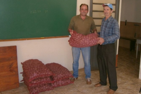 Secretaria da Agricultura realiza entrega de sementes de batatinha