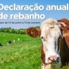 DECLARAÇÃO ANUAL DE REBANHO