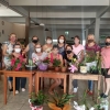 Produção e troca de mudas fortalece vínculo entre grupos de mulheres de Salvador das Missões 