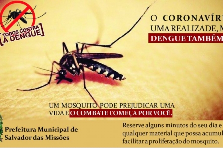 SAÚDE:  ALERTA DENGUE MATA SAÚDE:  ALERTA DENGUE MATA