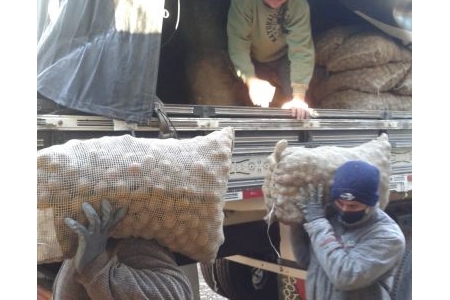 Distribuição de semente de batatinha e semente de milho troca troca Distribuição de semente de batatinha e semente de milho troca troca